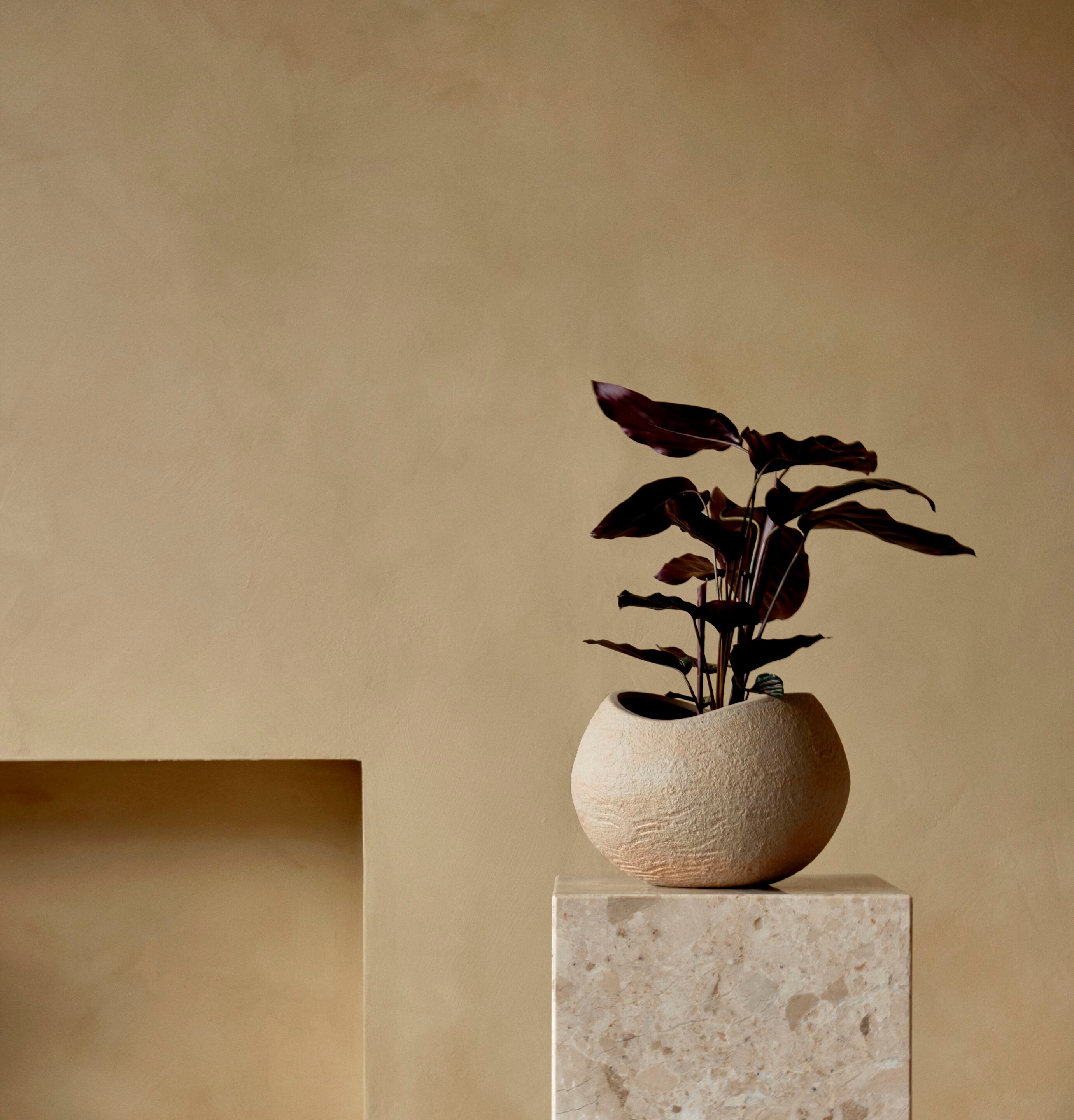 Сеялка из керамогранита Audo Copenhagen PLANTAS ARCH-00023630 - Вид №20