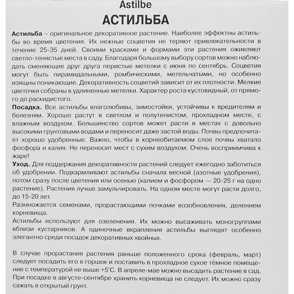 Корневище астильба Арендса Хэппи дей белый 82693434 STLM-2094544 Santreyd  - Вид №2