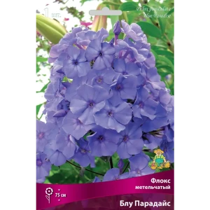 Флокс метельчатый «Блу Парадайс», 1 шт. 82118749 STLM-2096789