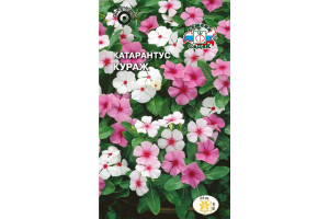18408937 Семена Катарантус Кураж 00000016030 СеДек