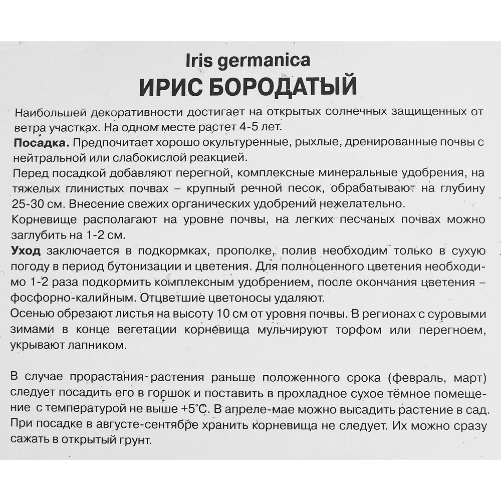Ирис бородатый Блашес 85204789 STLM-2108390 ПОИСК  - Вид №2