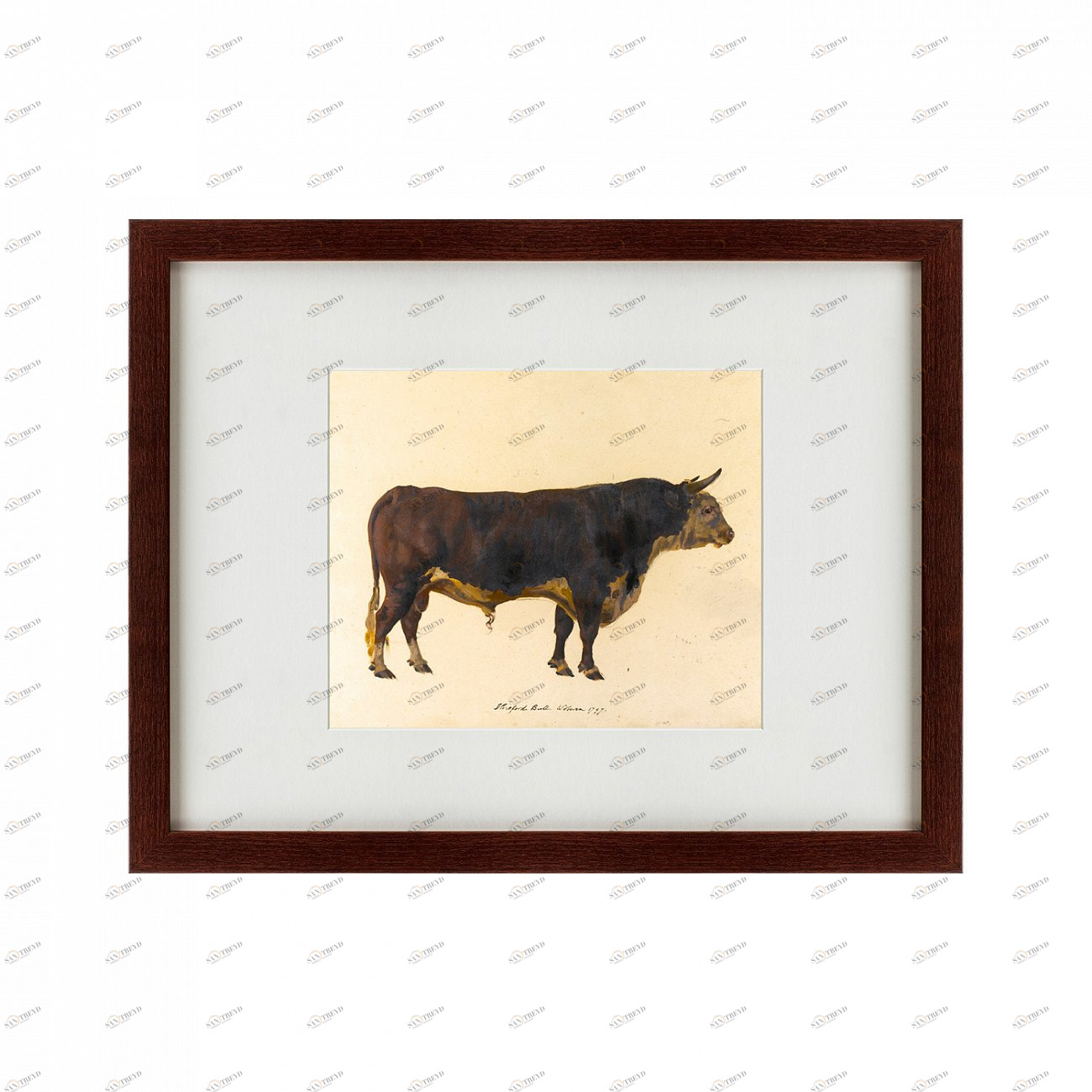 Картина: The bull, 1797 КАРТИНЫ В КВАРТИРУ  135670 Разноцветный 