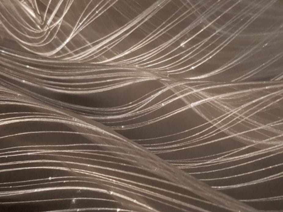 Яркая ткань DREAMLUX® DREAMLUX® ORGANZA ARCH-00125899 - Вид №1