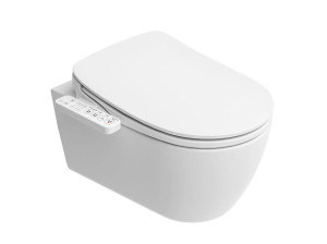 Подвесной туалет без бриды