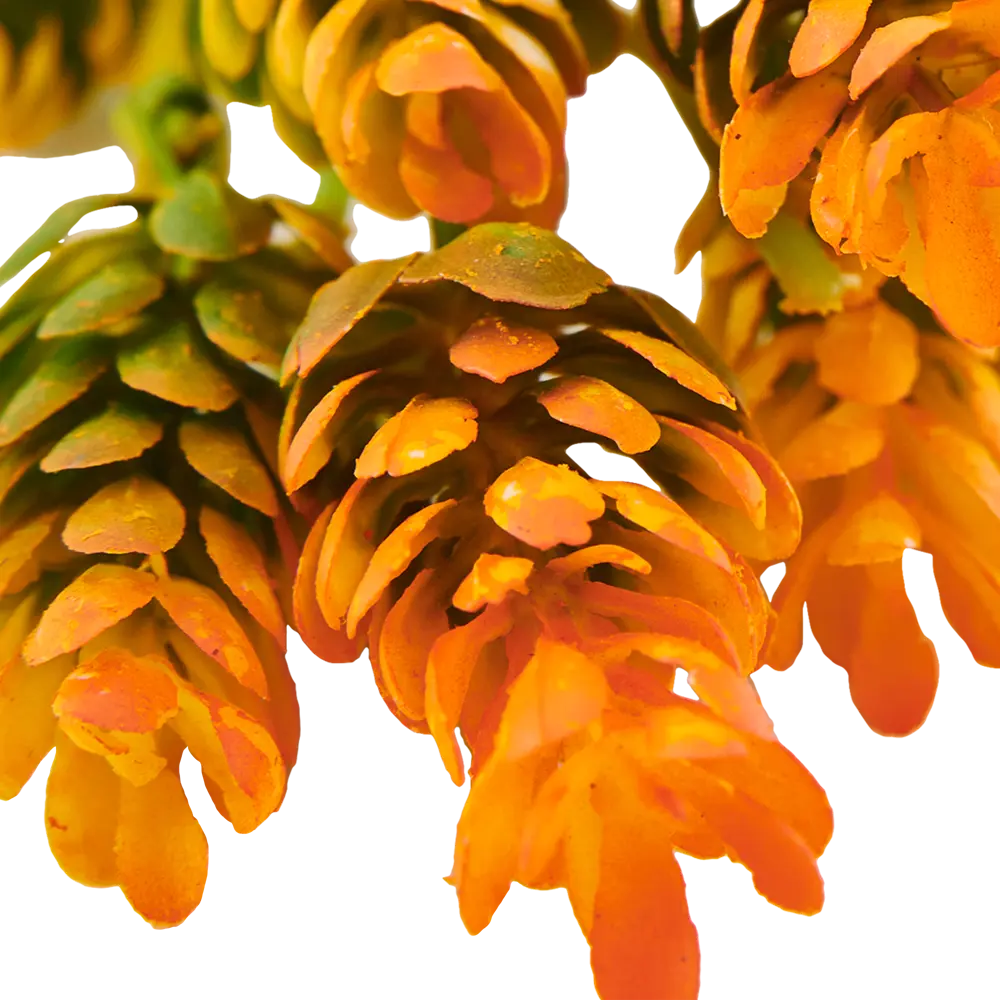 82839134 Ветка декоративная «Хмель» 40 см STLM-0814844 Santreyd  - Вид №1