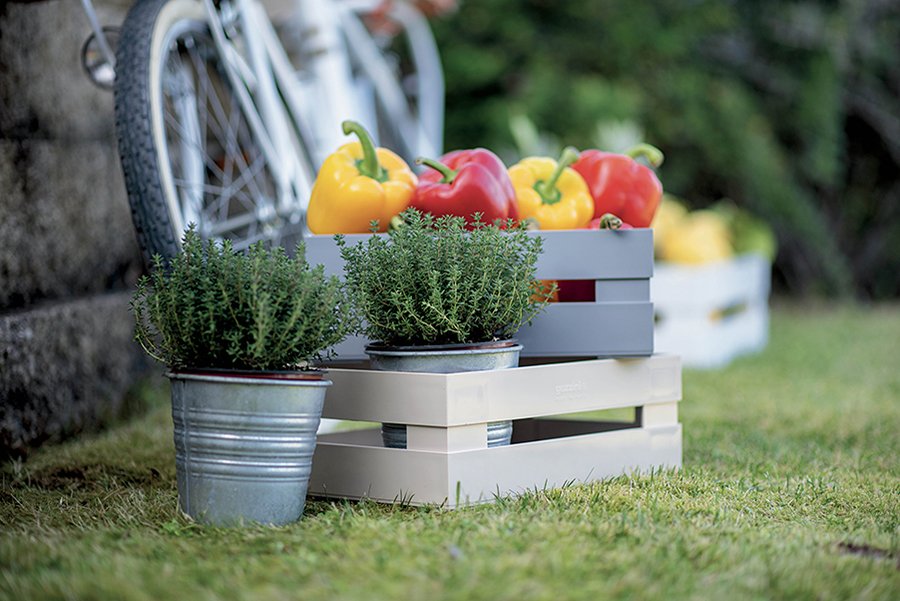 Ящик для хранения пластиковый 15 см бежевый Tidy&Store GUZZINI  00-3871173 Бежевый  - Вид №1