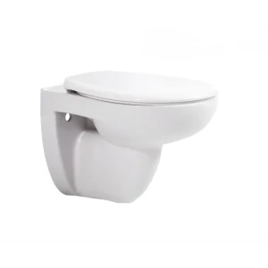 Унитаз подвесной Aquatek Каир AQ1170-00, безободковый, с сиденьем микролифт