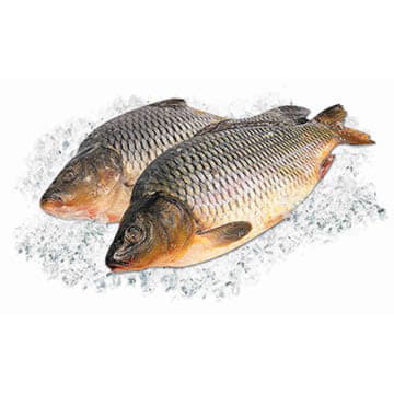 Карп охлажденный ~2 кг Santreyd 25718 - Вид №1