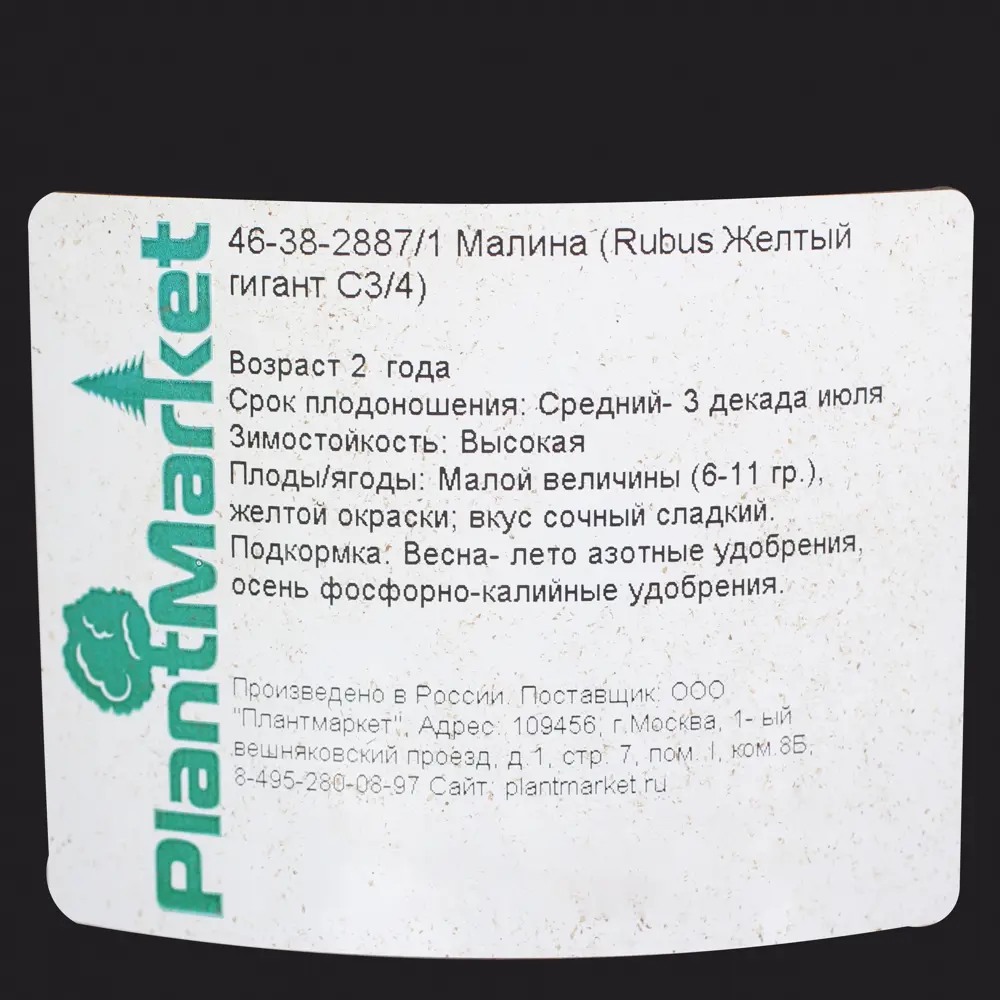 Малина С3-С4 «Жёлтый гигант» 81969353 STLM-2133493 PLANTMARKET  - Вид №2