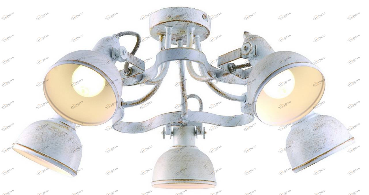 Потолочная люстра Arte Lamp Martin A5216PL-5WG ARTE LAMP ДИЗАЙНЕРСКИЕ, MARTIN 059034 Белый 