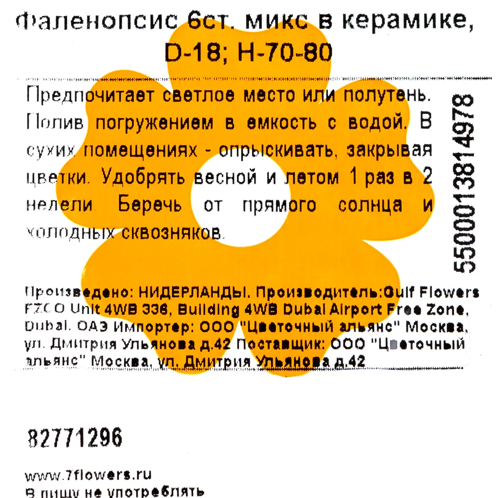 Орхидея Фаленопсис 6 стеблей ø18 h75 см 82771296 STLM-2055947 Santreyd  - Вид №2