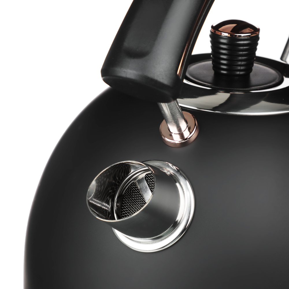 9237186 Электрочайник LEBEN 291-093 черный STDN-0100158 - Вид №4