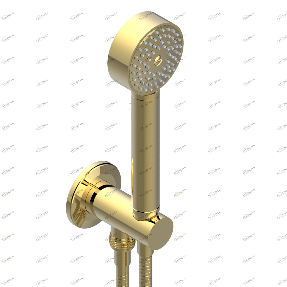 G9G-54 Душ ручной стильный встраиваемый в стену, шланг и патрубок для душа с крючком Thg-paris System с говлитом Золото G9G 54 CAT.F
