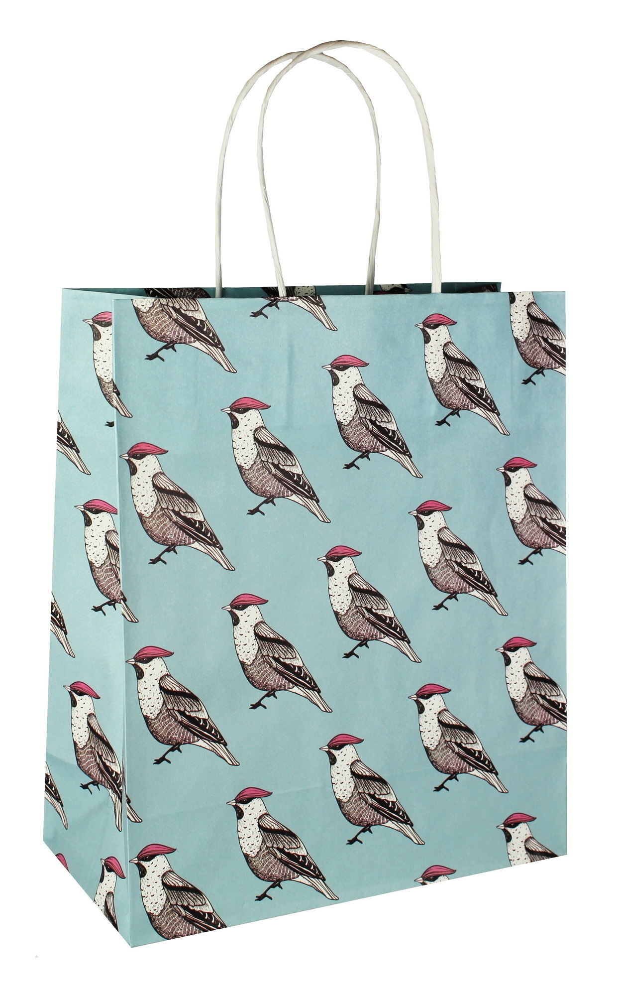 480898 Пакет подарочный "Птицы в небе" Santreyd 