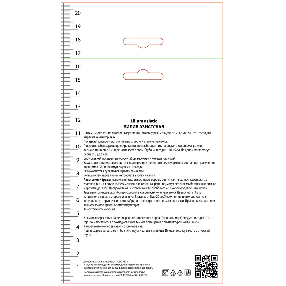 Лилия азиатская Тайни Комфорт 89452214 STLM-2058563 ПОИСК  - Вид №1