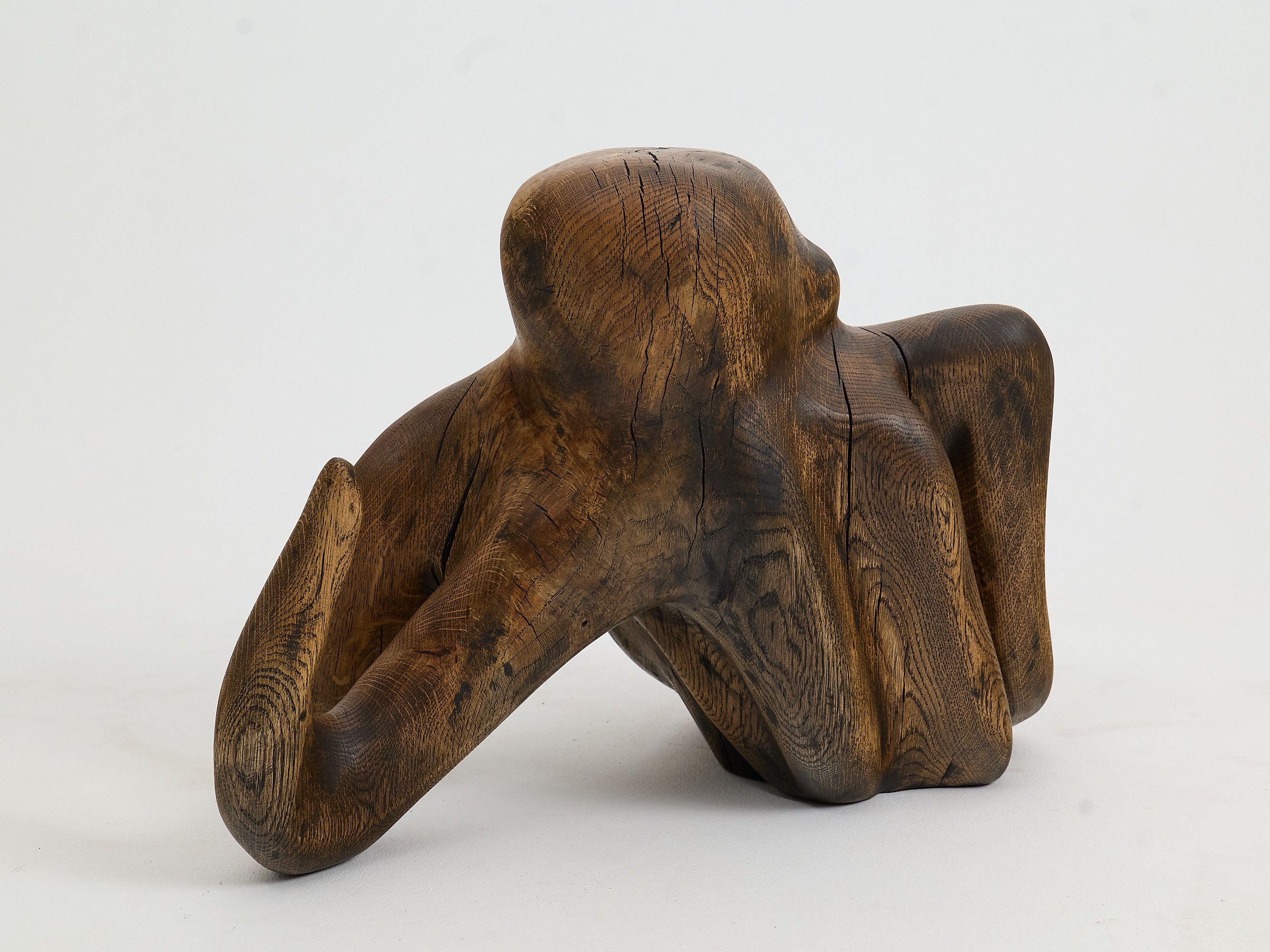 Дубовая скульптура Logniture Sculpture ARCH-00151061 - Вид №1