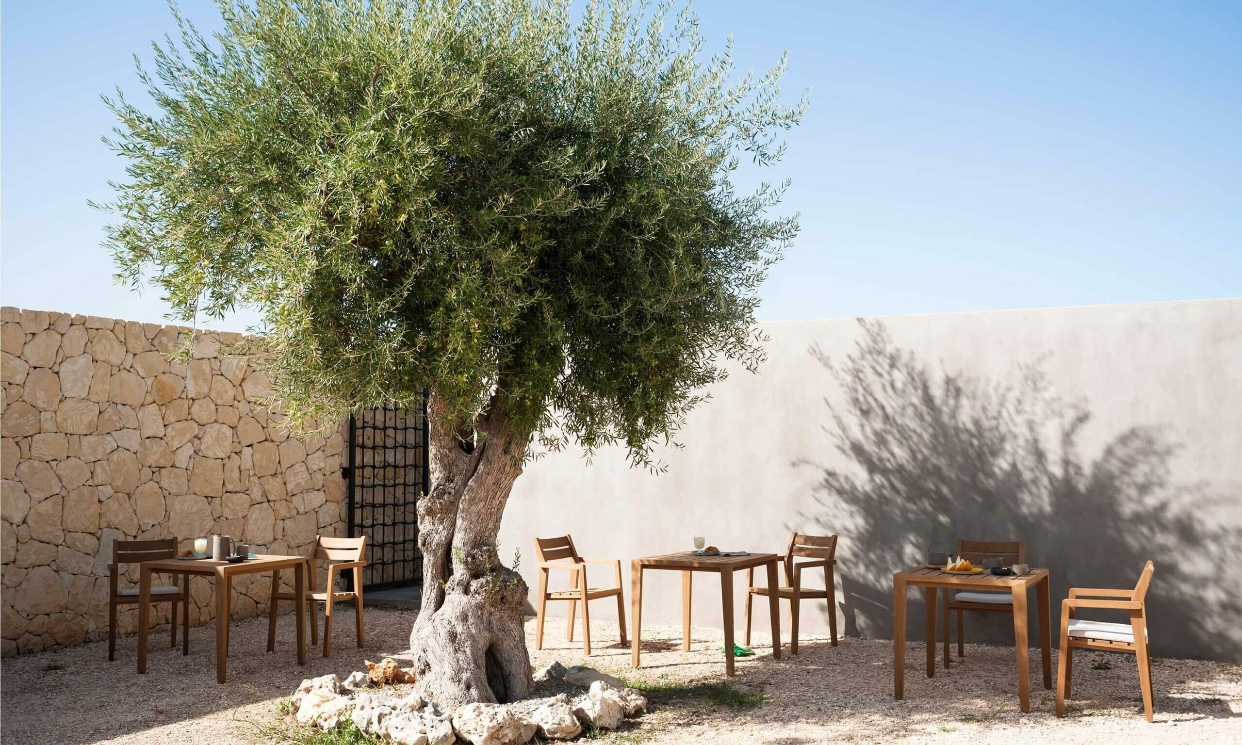 Садовый стул iroko с подлокотниками RODA Zania ARCH-00076678 - Вид №3