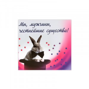 1038 Магнит ПВХ 8.5 x 5 см Мы, мужчины...