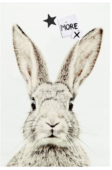 Groovy Magnets Магнитный плакат Animal Pos-62-r - Вид №1