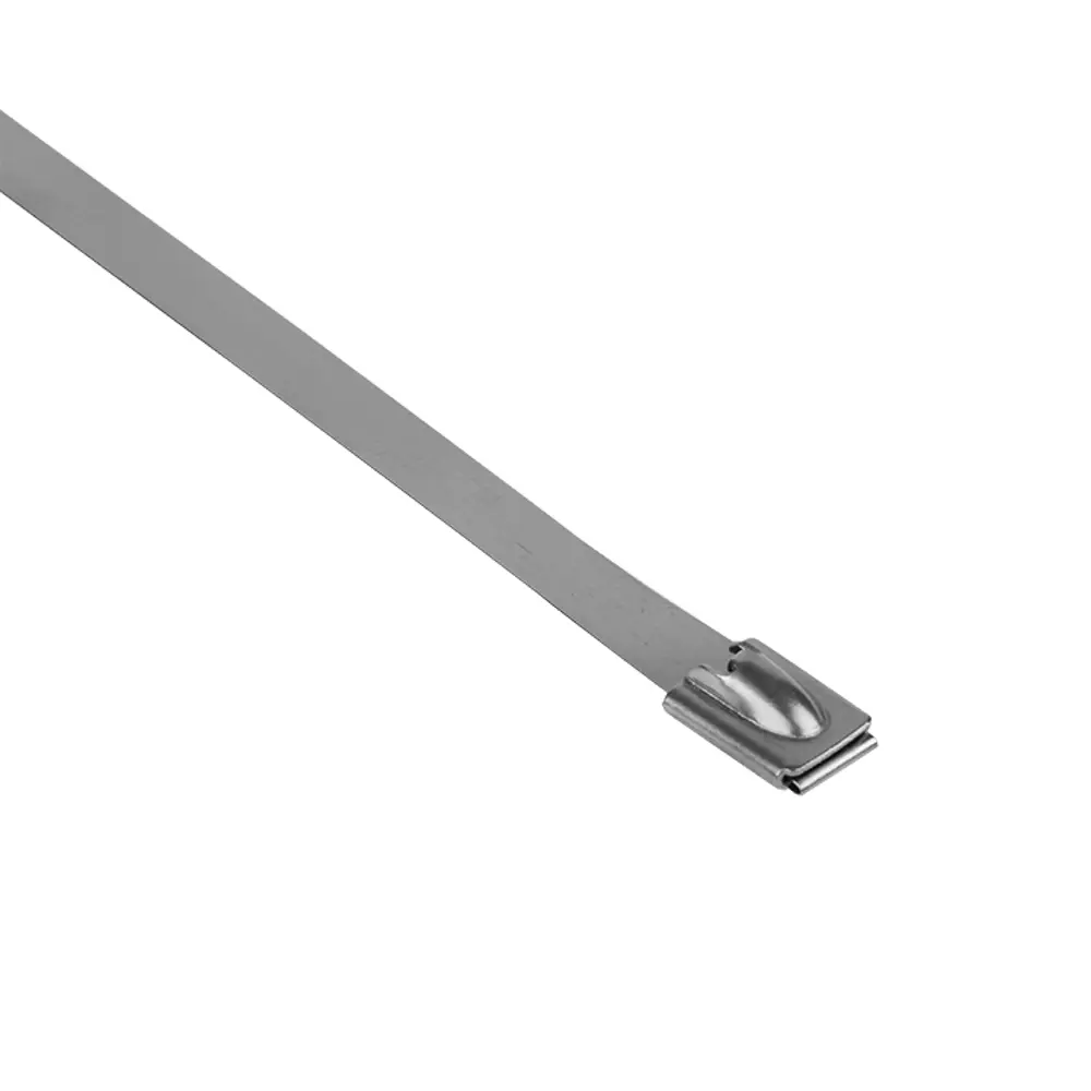 Хомут EKF AISI 304 для труб и кабелей, 10 шт 87750521 STLM-1114400 - Вид №2