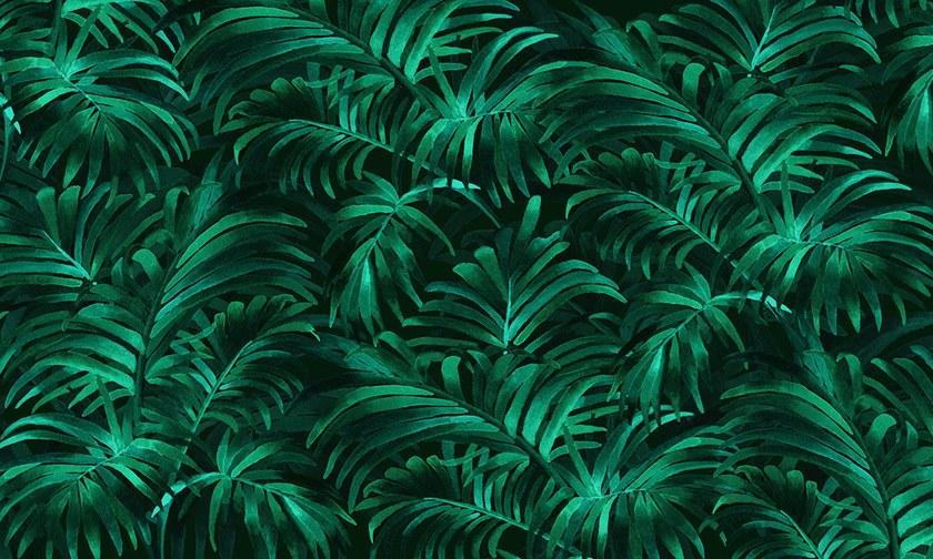 Wallpepper Group Тропические обои, экологически чистые, без пвх и моющиеся Ambiente sun-id-1387747 - Вид №3