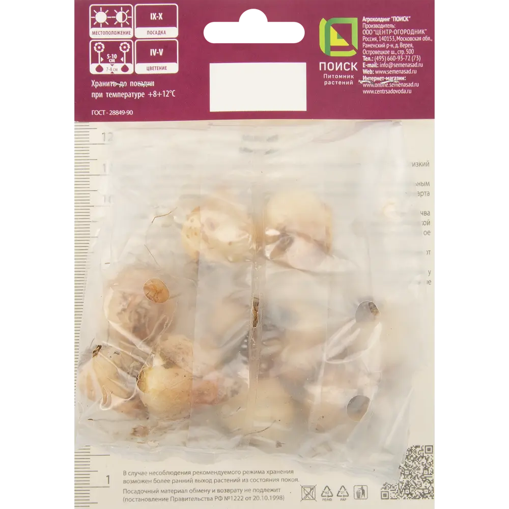 Мускари Биг Смайл от ПОИСК - 10 луковиц для яркого сада 85205642 STLM-1572069 - Вид №1