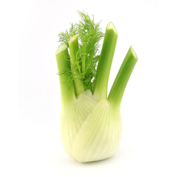 Фенхель Santreyd 8640 - Вид №1