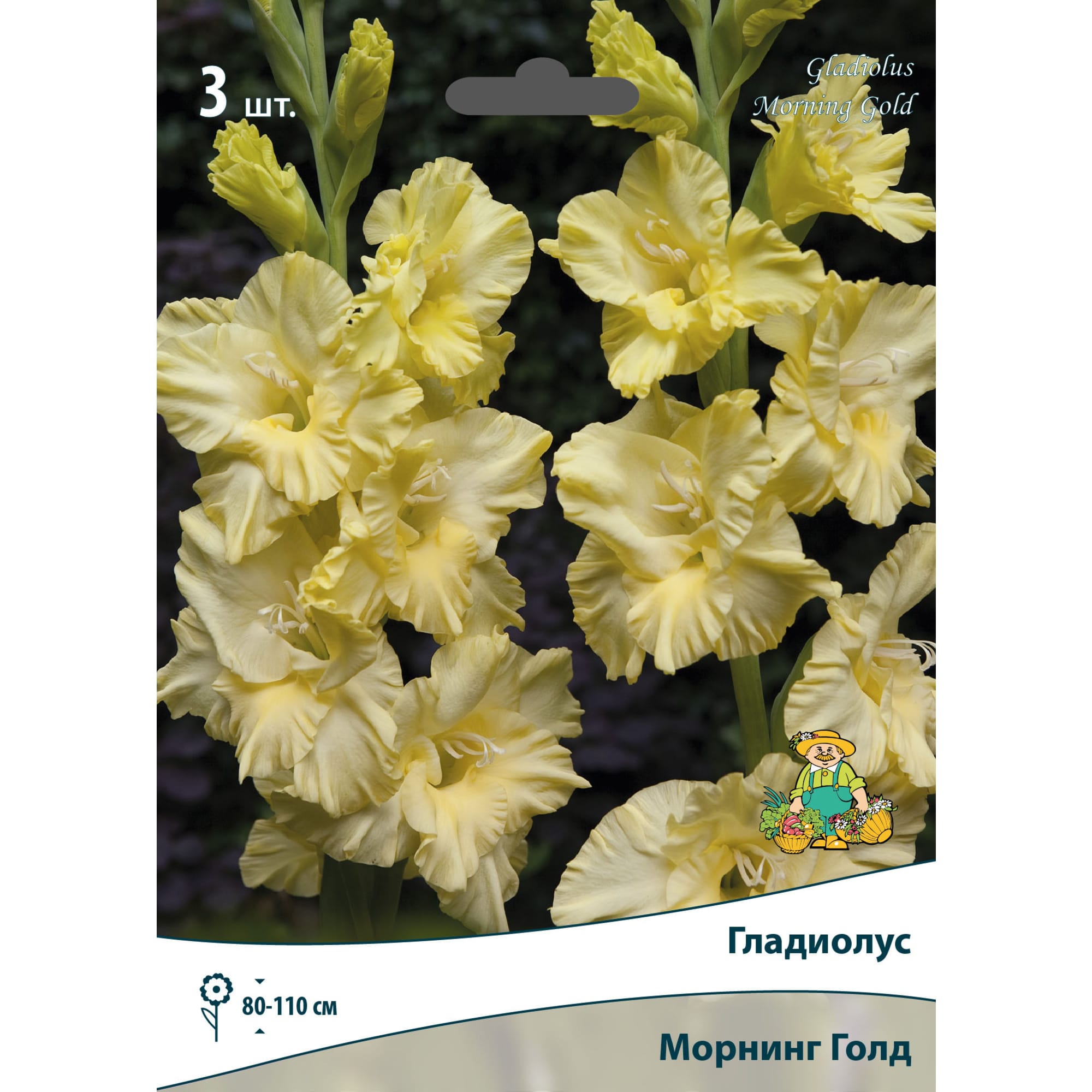83596863 Гладиолус крупноцветковый Морнинг Голд луковица 10/12 Santreyd 