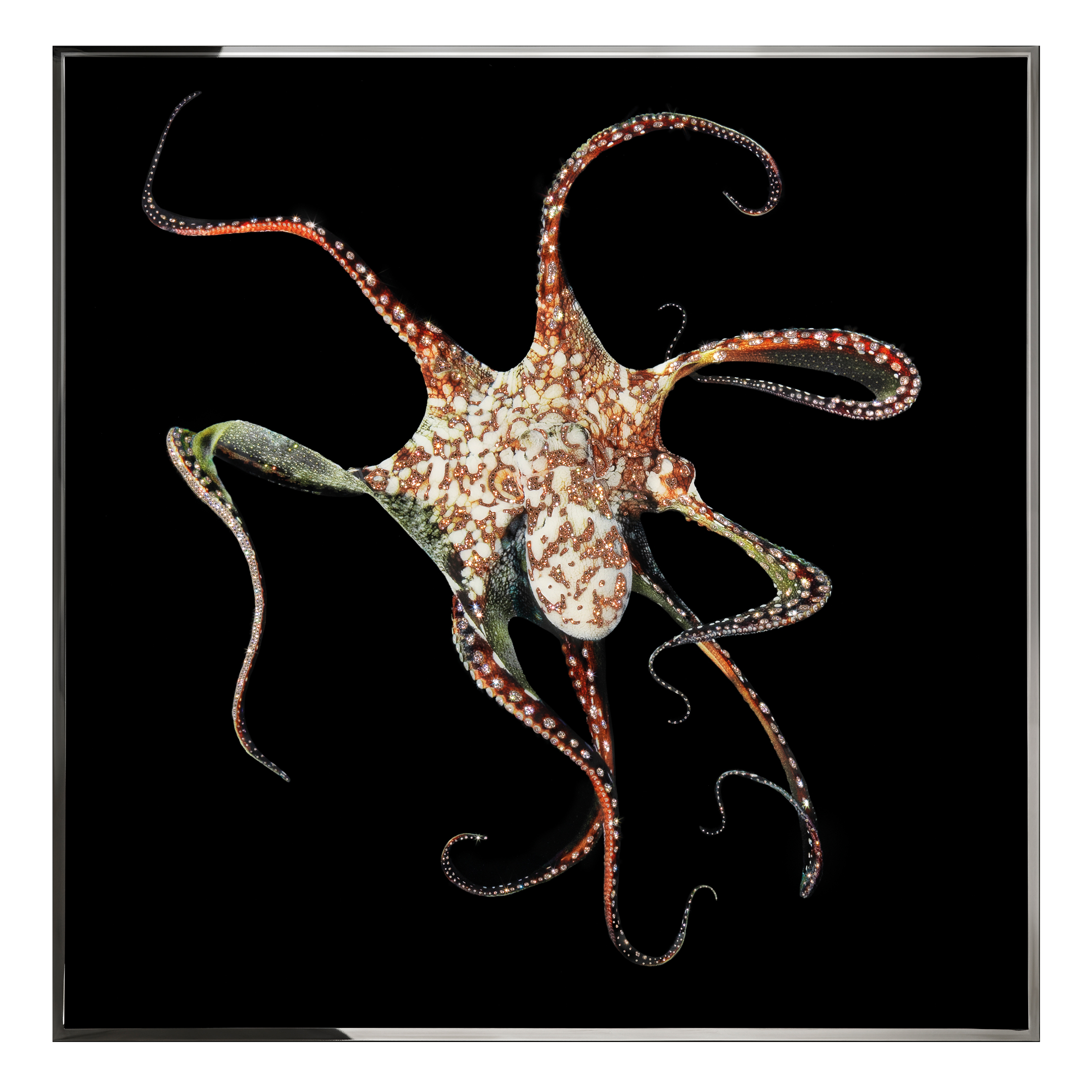 Piovra Смешанная техника Visionnaire  - Вид №1