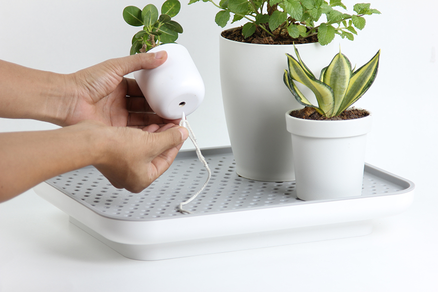 Лоток для полива растений Oasis Tray белый Qualy QL10309WHGN - Вид №5