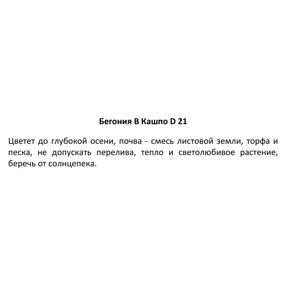 Бегония в кашпо ø21 h35 см 83248489 STLM-2055664 Santreyd  - Вид №3