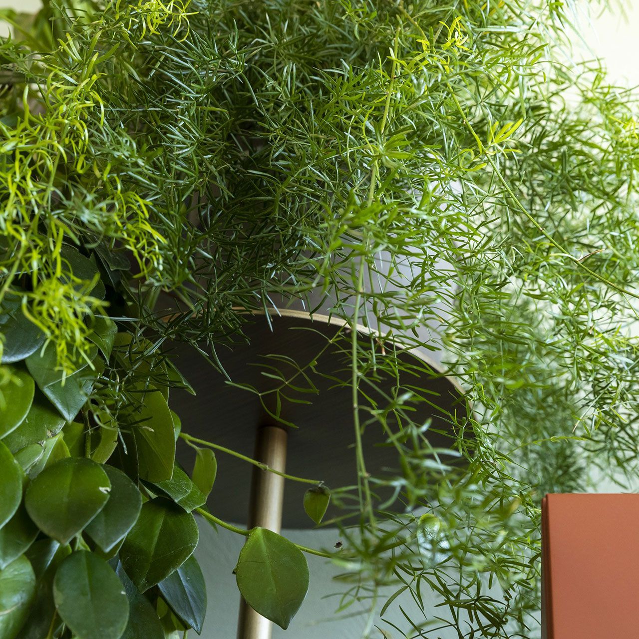 Шкаф из МДФ Mogg икебана ARCH-00128520 - Вид №14