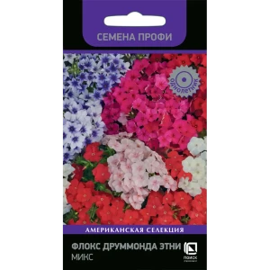 Семена Флокс Друммонда «Этни Микс» 83227411 STLM-2099191