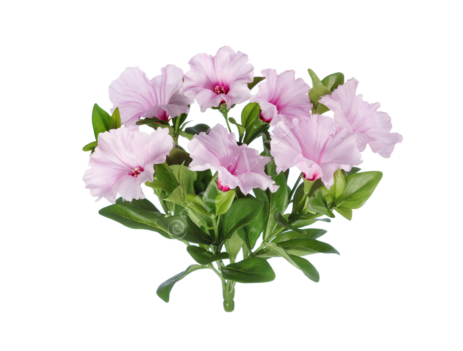 20.1086W/PU Петуния куст бледно-сиреневый Цветочная коллекция 