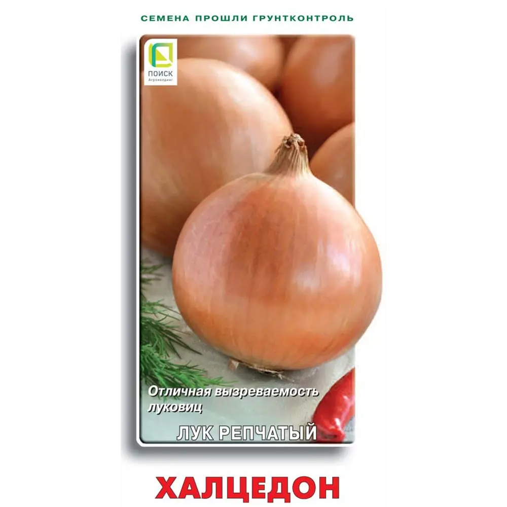 Семена лука репчатого Халцедон - высокоурожайный сорт для всех регионов 89401110 ПОИСК STLM-1575061