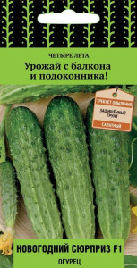 Поиск Семена огурца Новогодний сюрприз F1 - зимний урожай в теплице 86217818