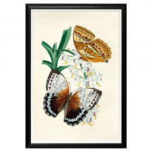 782752433_1818 Арт-постер «Тропический рай», версия 30 Object Desire