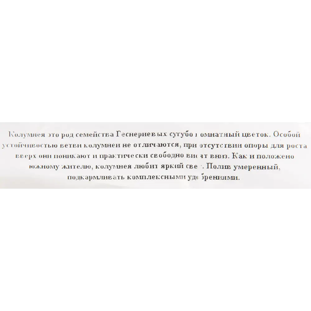 Santreyd Колумнея - ампельное растение с огненными цветами в кашпо 16 см 82649975 STLM-1544483 - Вид №2