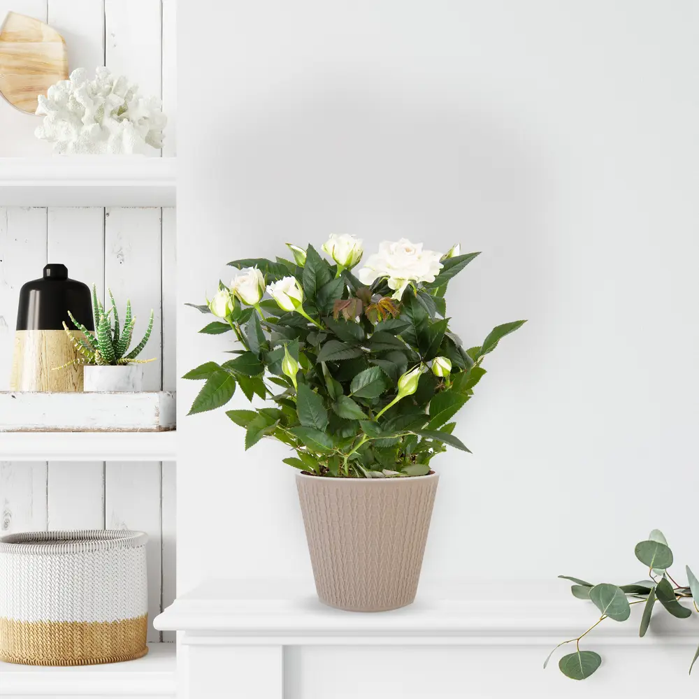 Горшок Santreyd Ajur - ажурный напольный для цветов в стиле hand-made 82824900 STLM-0036581 - Вид №2