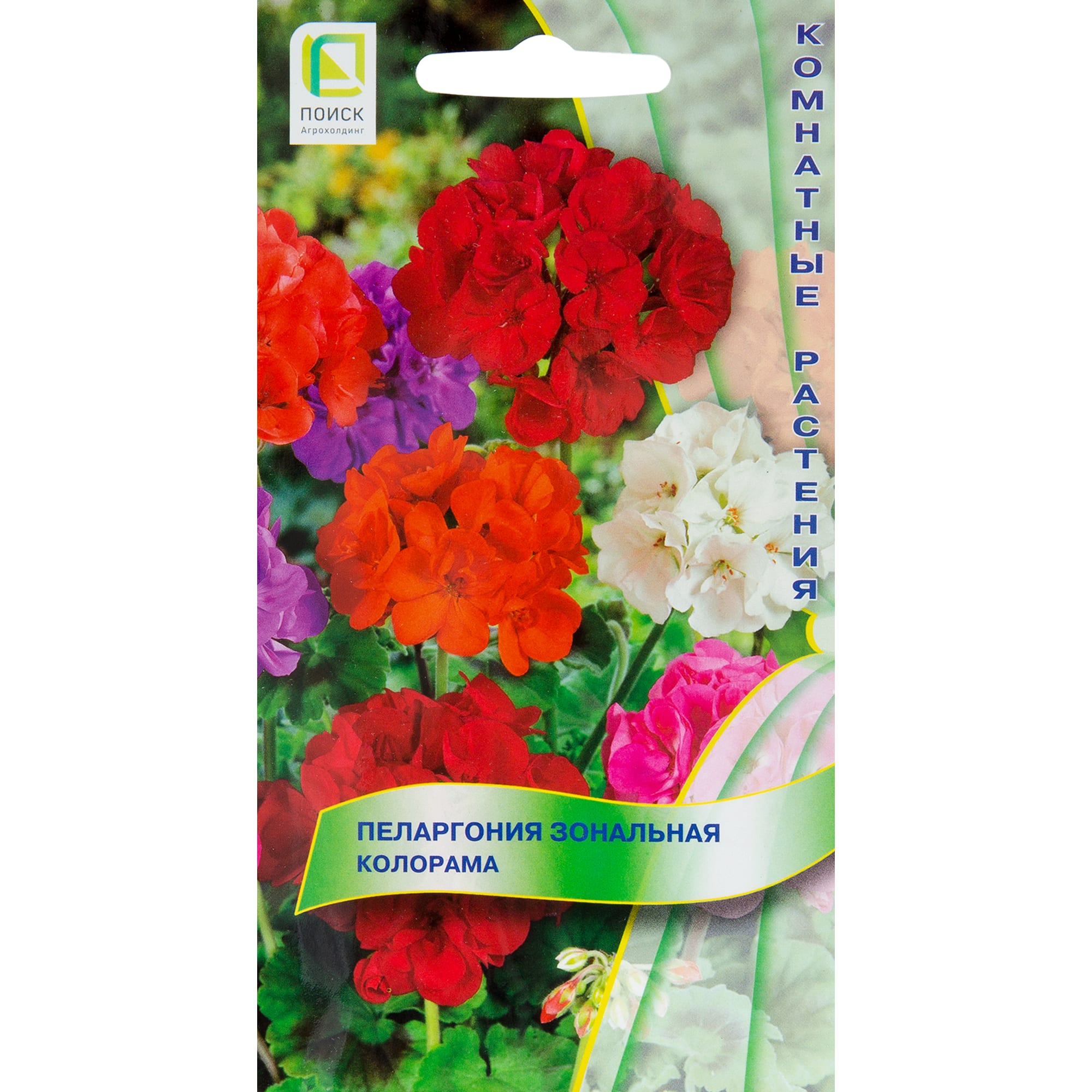 82102298 Пеларгония зональная «Колорама», 6 г Santreyd 