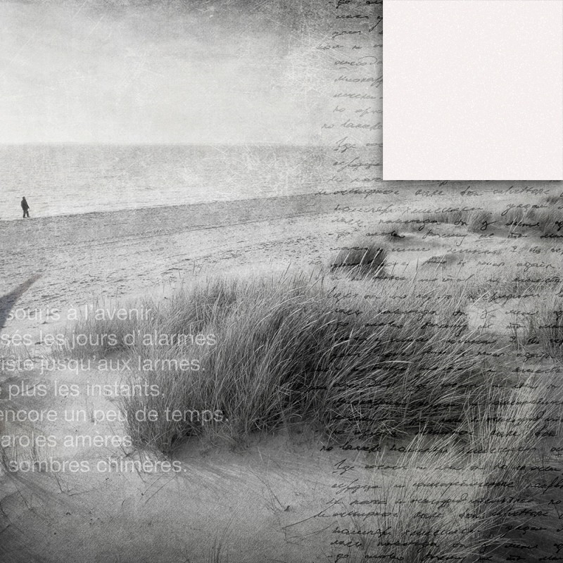 WP02006A Обои декоративные Adriani e Rossi  - Вид №3