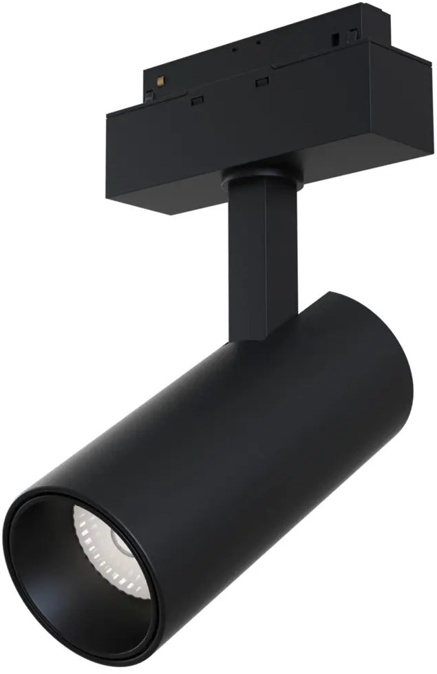 93877428 Трековый светильник Maytoni TR019-2-15W3K-B STLM-0601594