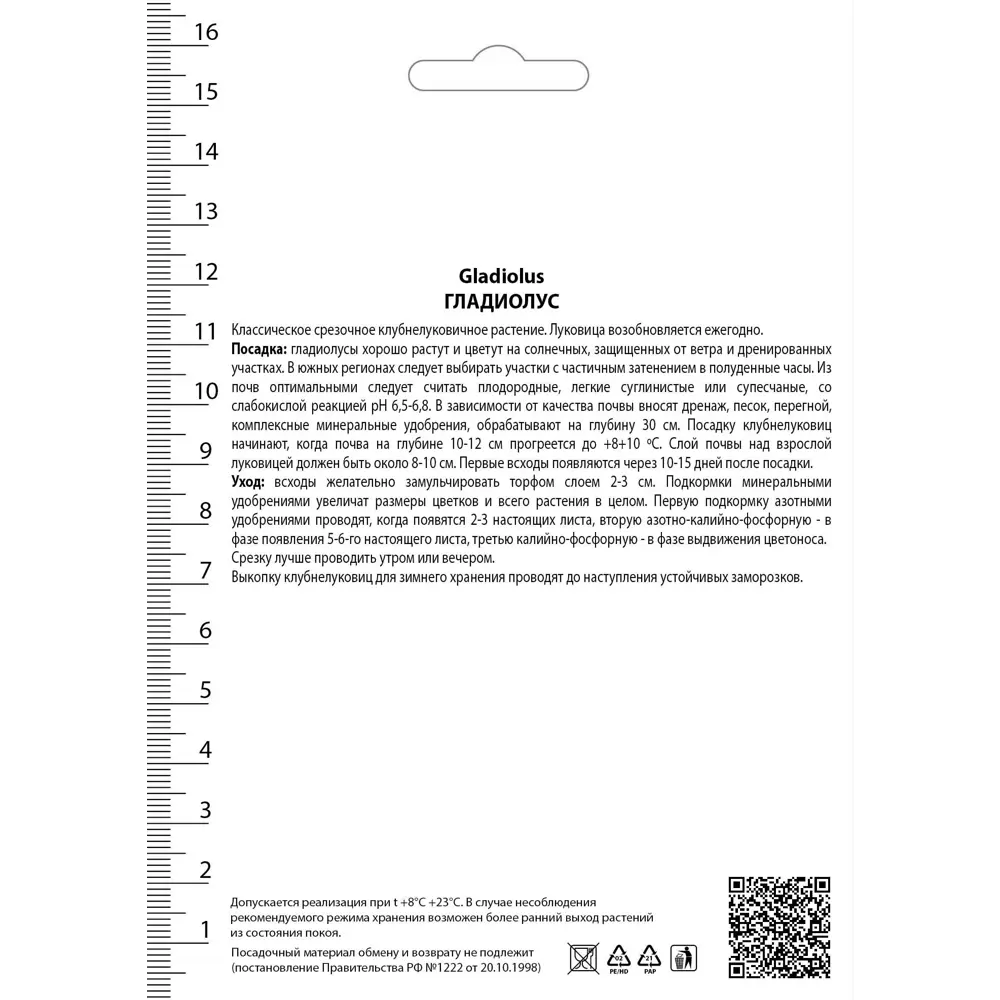 Гладиолус крупноцветковый «Айвори Присцилла» 82530149 STLM-2053017 ПОИСК  - Вид №1