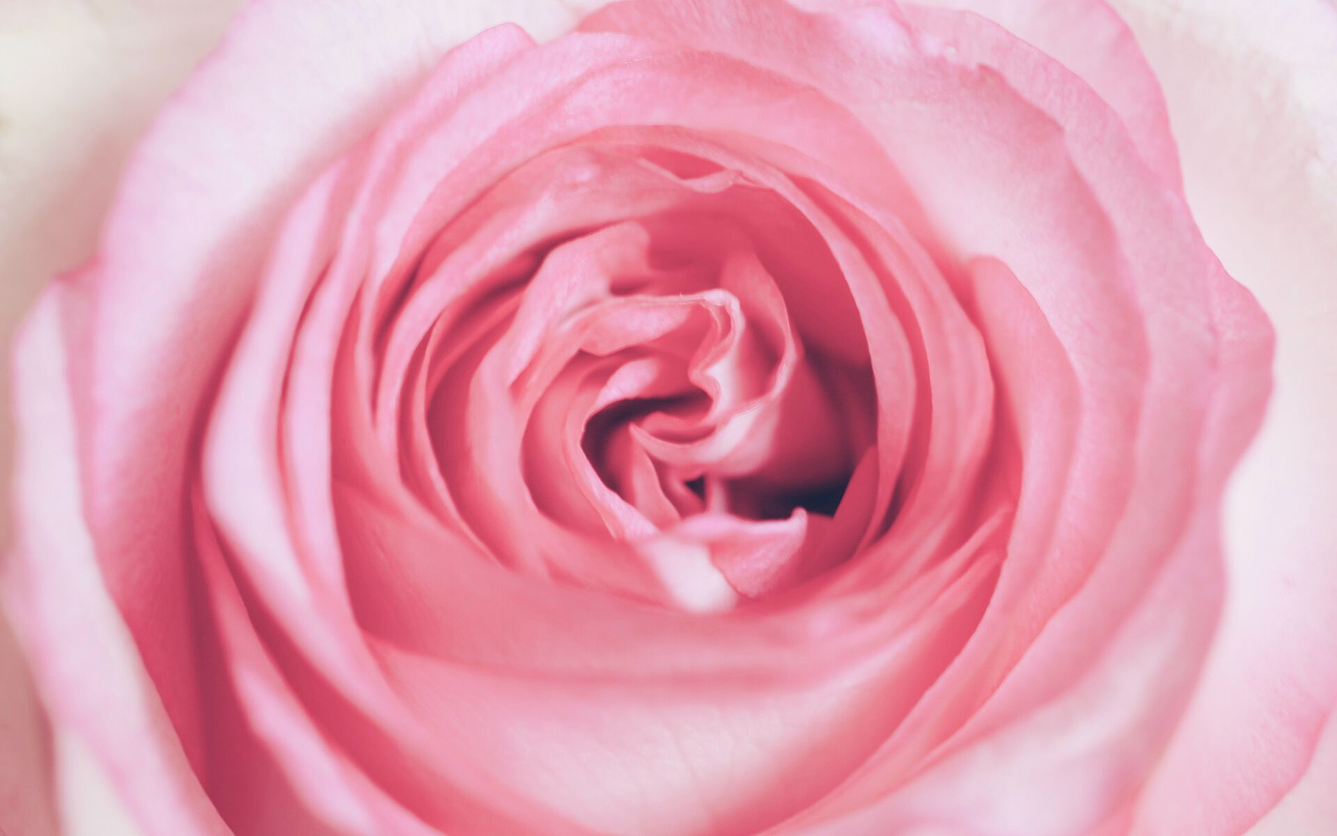 Набор для спа-ароматерапии Aquademy AROMATERAPIA IN ACQUA ARCH-00083585 - Вид №10