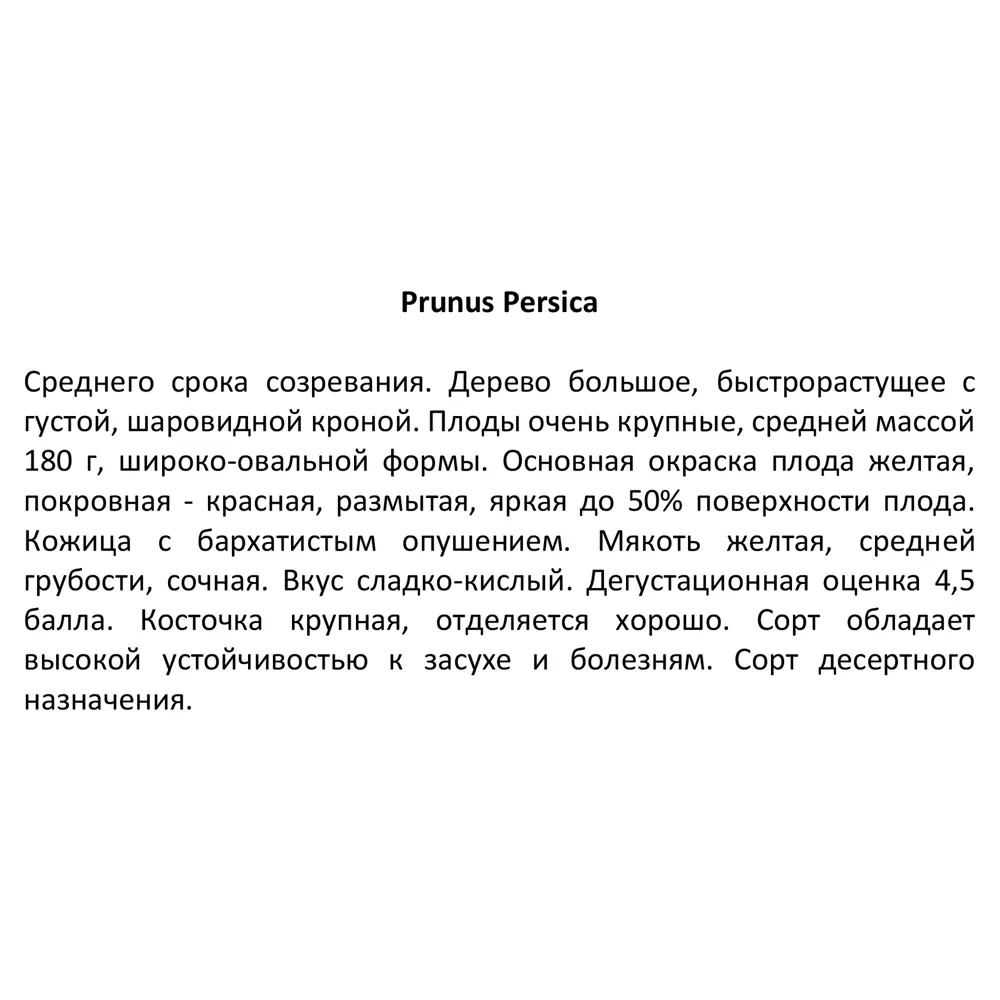 Персик золотая Москва h220 см 83788010 STLM-2009325 Santreyd  - Вид №2