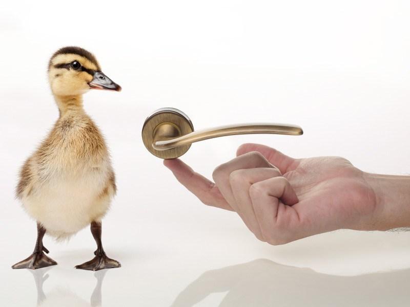 LINEA CALI' Металлическая ручка в классическом стиле на розетке с замком Piuma sun-id-1362679 - Вид №1