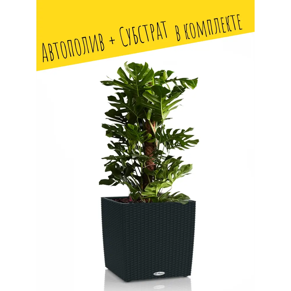 Кашпо для цветов Lechuza Кьюб Коттедж ø49 h50 см v61 л пластик черно-графитовый 87503752 STLM-2100895  - Вид №2