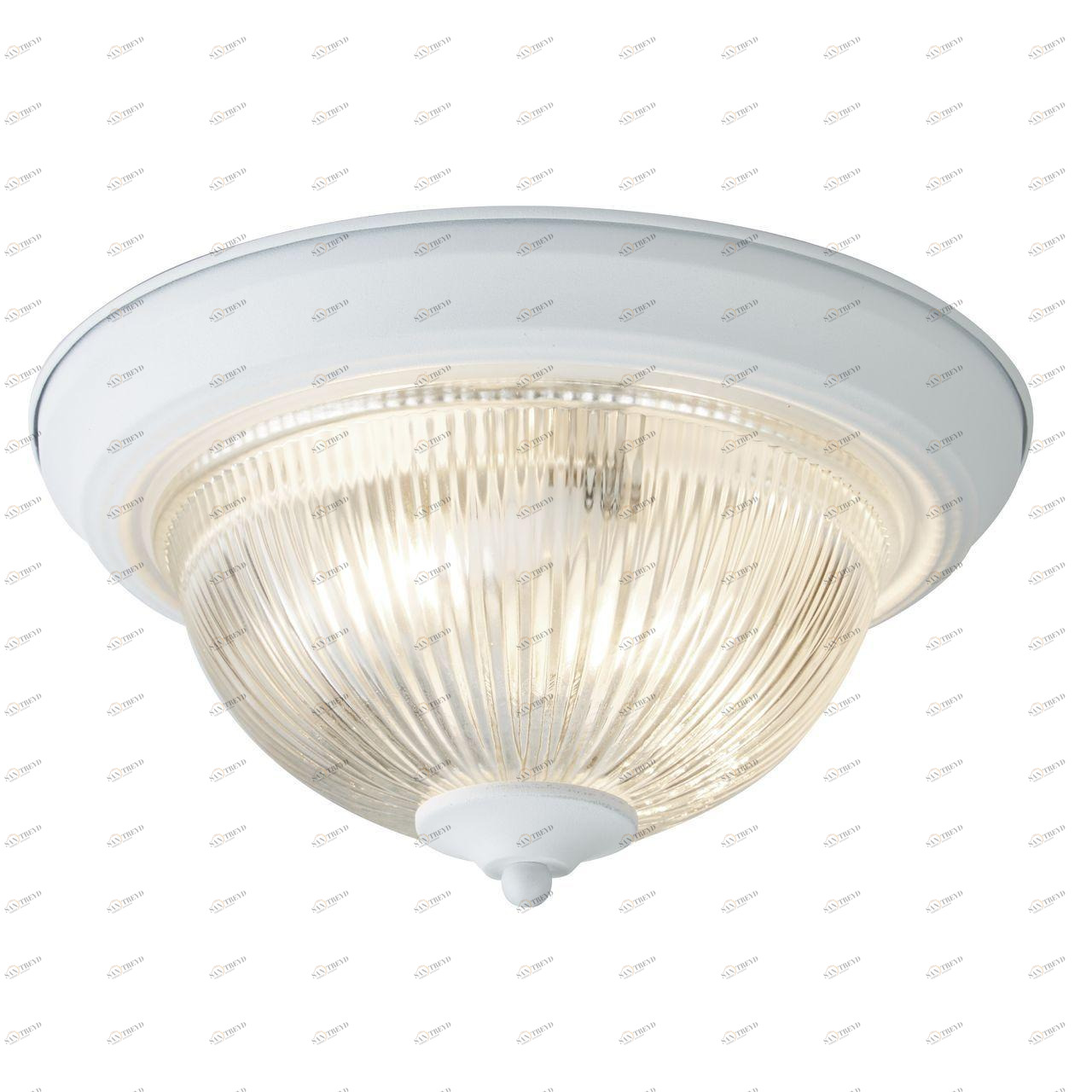 Потолочный светильник Arte Lamp Aqua A9370PL-2WH ARTE LAMP AQUA 100941 Белый
