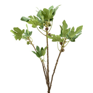 230062-70 ABHIKA ФИЛИАЛ ФИЖ GREEN