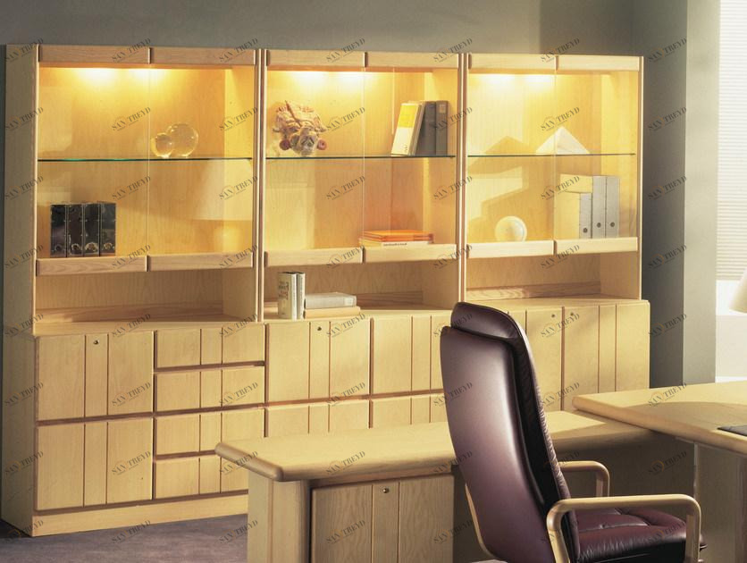 Dyrlund Офисный шкаф / офисный книжный шкаф из дерева Commodore 8900/8904/8906 